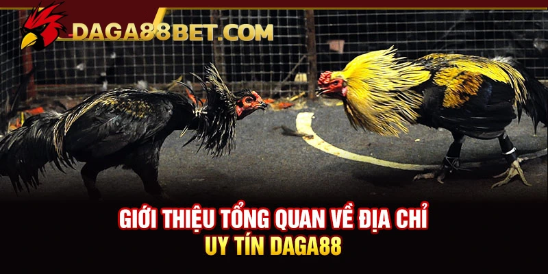 Trang chủ 6 Giới thiệu về nhà cái daga88
