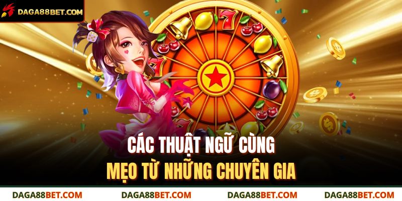 Các thuật ngữ cùng mẹo từ những chuyên gia