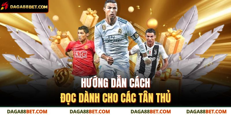 Tỷ Lệ Trận Là Gì – Cách Hiểu Và Áp Dụng Chuẩn Xác Nhất 3 Hướng dẫn cách đọc dành cho các tân thủ